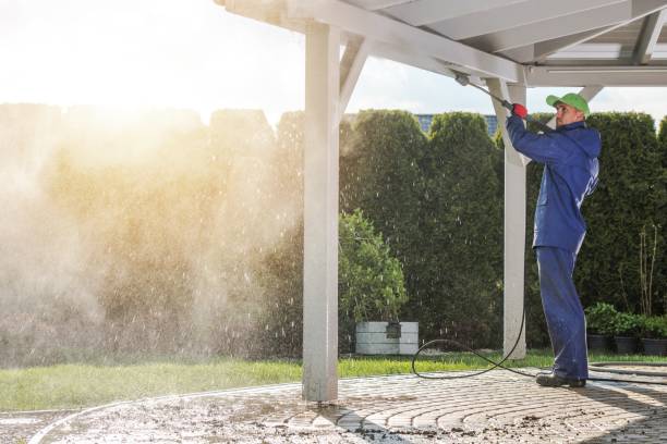 Best Vinyl Siding Pressure Washing in Jackson, WY