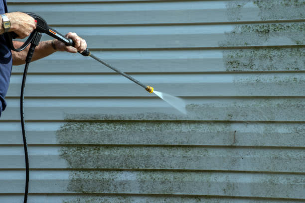 Best Graffiti Removal Services in Jackson, WY